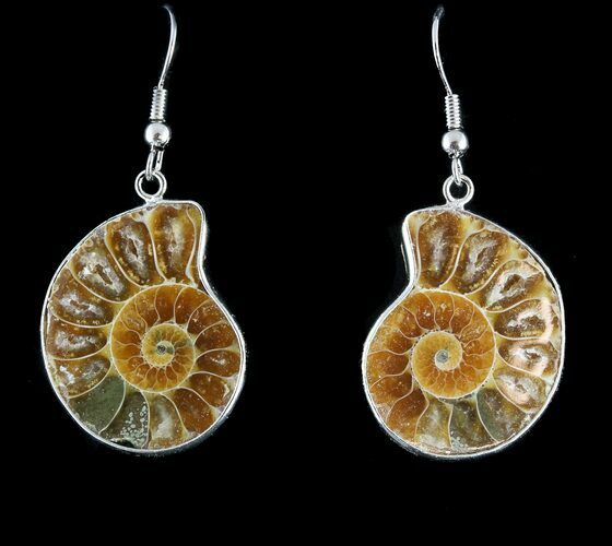 Fossil Ammonite Earrings - Million Years Old #48834